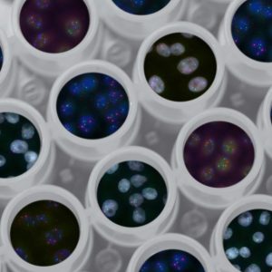 multi-colored polka-dots pattern